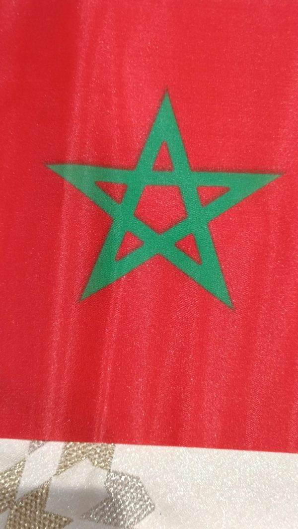 🇲🇦 Petit Drapeau du Maroc en tissu — photo 3