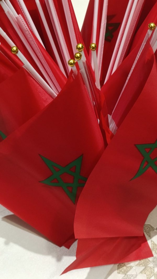 🇲🇦 Petit Drapeau du Maroc en tissu — photo 13