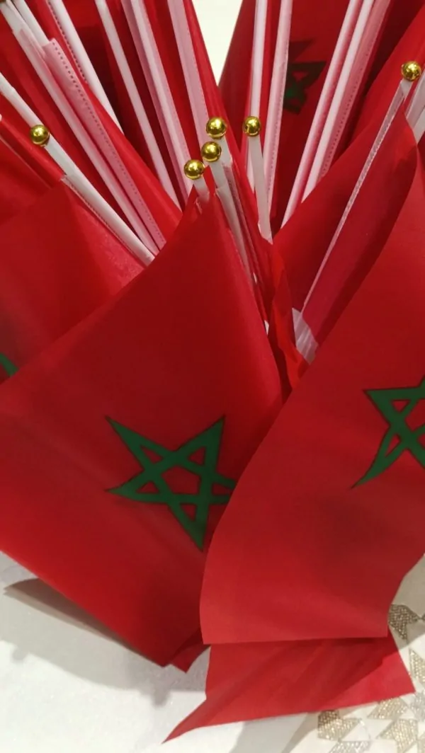 Small Moroccan flag in fabric — photo 13