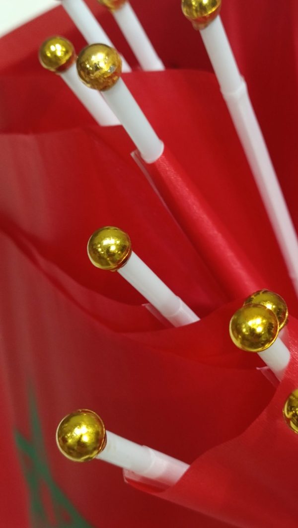 🇲🇦 Petit Drapeau du Maroc en tissu — photo 11